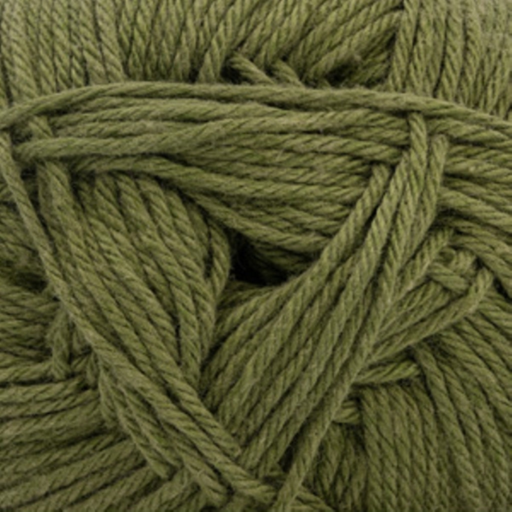 Cascade Yarns Pandamonium 55 - Avocado