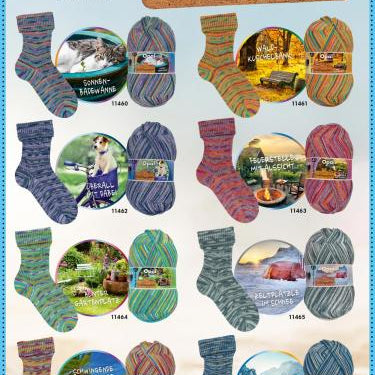 Opal, 4-Ply Sock - Favorite Place Collection