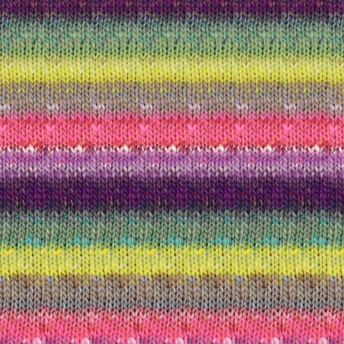 Noro Mejiro 06 - Ume